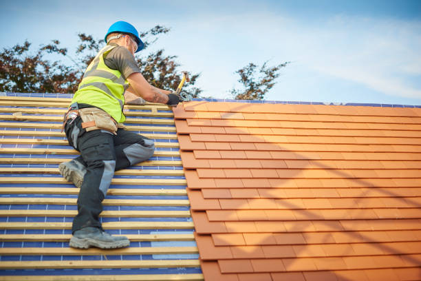Best Sheet Metal Roofing  in Germantown, TN